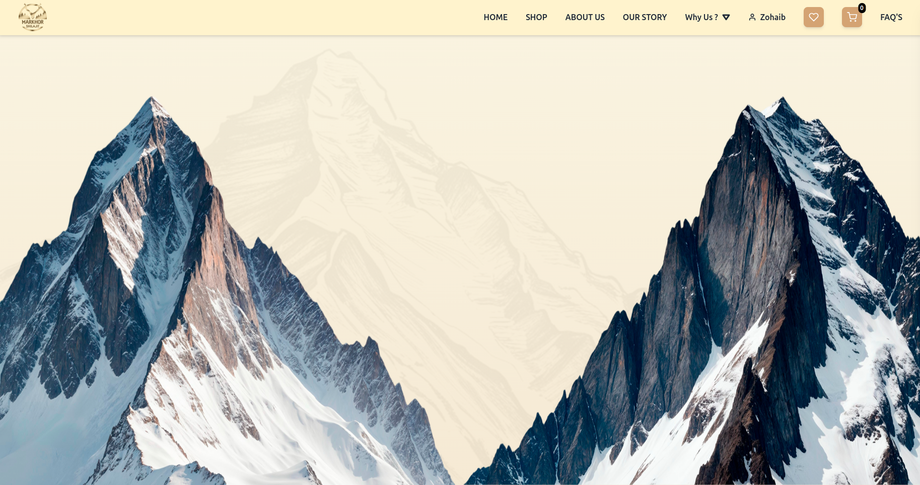 project-img